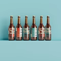 Six Bottles of Beer with Different Label Designs Neatly Arranged on Light Blue Background