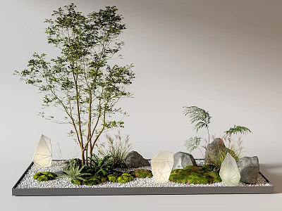 Indoor Landscape Design With Small Tree Decorative Stones Green Moss And Tiny Plants 3d model