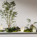 Indoor Landscape Design With Small Tree Decorative Stones Green Moss And Tiny Plants