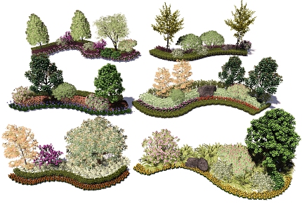 Landscape Shrub Plant Flower Border Plant Group Ornamental Ecological Flower Net Red Community Plant Collocation Underlying Shrubs 3d model