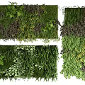 Indoor Vertical Garden Wall with Various Green Plants Different Textures and Foliage