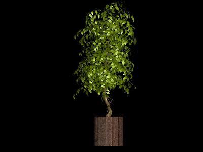 modern potted plant potted plant indoor decoration indoor potted plant 3d model