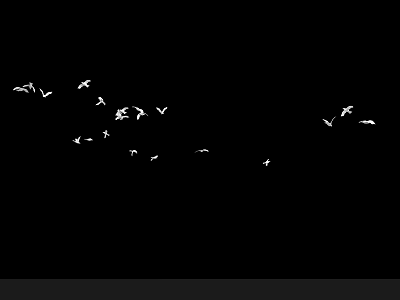 Flock of White Birds Flying Against Dark Black Background in Sky 3d model