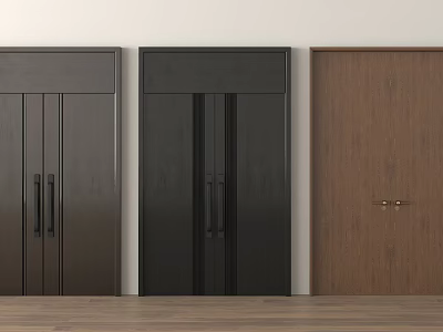 Dark Gray And Black Double Doors In Modern Interior With White Wall And Wooden Floor 3d model
