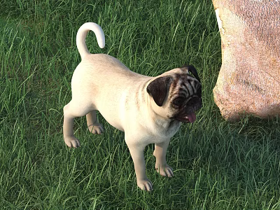 Cute Pug Dog Standing On Green Grass Near Big Rock Outdoor Scene 3d model