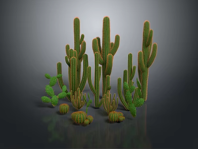 Various Green Cactus Plants Featuring Columnar And Round Stems In 3D Render 3d model