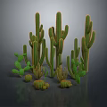 Various Green Cactus Plants Featuring Columnar And Round Stems In 3D Render