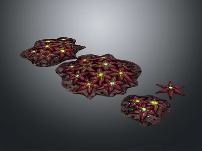 Modern starfish mollusk 3d model Modern starfish mollusk 3d model