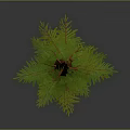 Tall Green Pine Tree With Brown Trunk And Lush Pine Needles 3d model