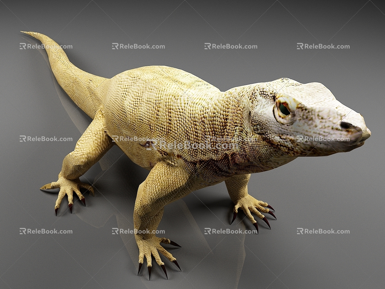 Komodo dragon lizard animal 3d model