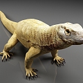 Komodo dragon lizard animal 3d model