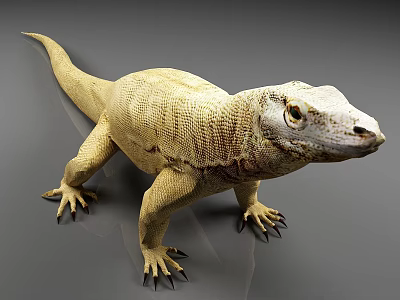 Pale Yellow Scaled Reptile Lizard Standing With Sharp Claws On Gray Background 3d model