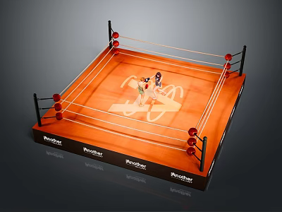 Professional Boxing Ring Sports Equipment With Boxers Ropes And Everlast Branding 3d model