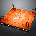Professional Boxing Ring Sports Equipment With Boxers Ropes And Everlast Branding