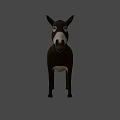 Realistic Brown Donkey 3D Model Standing On Gray Background With Shadow 3d model