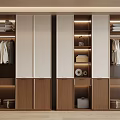 Modern Wardrobe With Glass Doors Wooden Cabinets LED Lighting Hanging Folded Clothes And Storage Boxes