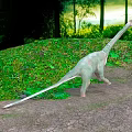Long Neck Dinosaur Model Walking On Grassland With Green Vegetation And Trees