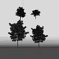 Diverse Arbor Varieties With Green Foliage And Various Tree Forms 3d model