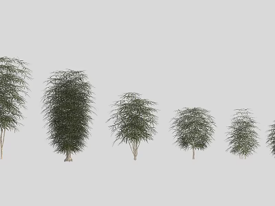 Various Sizes Of Arbor Trees With Lush Green Foliage In Landscaping 3d model