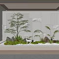 Indoor Landscape With White Textured Walls Rectangular Planter Green Plants Trees Stones Moss And Skylight