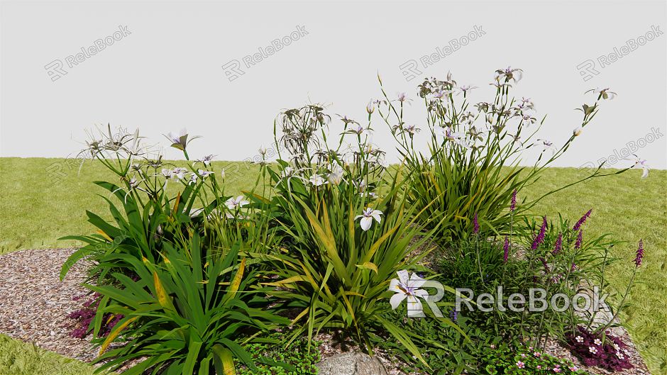 Modern plant irises spider orchid model