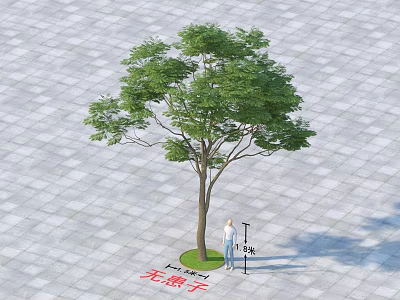 Tall Arbor Tree with Green Foliage on Gray Tiled Ground and Person Standing Underneath 3d model