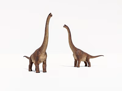 Two Brown Long Neck Dinosaur Models Standing On White Background 3d model