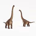 Two Brown Long Neck Dinosaur Models Standing On White Background 3d model