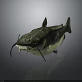 Realistic Fish Figure With Sharp Teeth Long Whiskers Dark Body And Reflection On Gray Background
