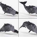 Sperm whale with bindings and animated whales 3d model