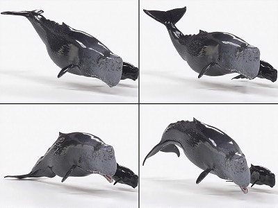 Sperm whale with bindings and animated whales 3d model