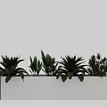 Lush Green Potted Plants with Varied Leafy Foliage in White Rectangular Wall Planter 3d model