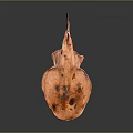 Orange Red Ray with Flat Body and Dark Spots on Black Background Showing Reflection