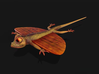 Reptile Flying Lizard With Orange Wing Membranes And Yellow Textured Body On Black Background 3d model