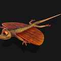 Reptile Flying Lizard With Orange Wing Membranes And Yellow Textured Body On Black Background