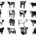 Stylish Cow Themed Wall Decor Featuring Various Cow Silhouette Designs