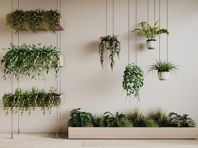 Hanging Basket Plants With Lush Green Species Suspended On Indoor Wall Decor 3d model