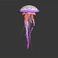Decorative Jellyfish Like Plant With Pink Purple Tentacles On White Background