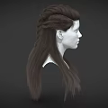 3D Human Head Model With Detailed Facial Features And Braided Brown Hair