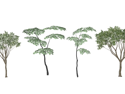 Modern Trees Plants model