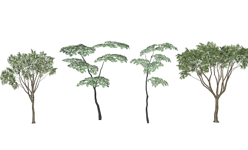 Modern Trees Plants 3d model