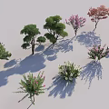 Various Ornamental Shrubs with Pink Flowers and Green Foliage for Garden Landscaping