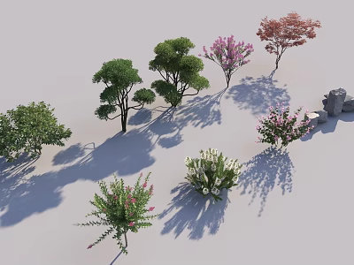 Various Ornamental Shrubs with Pink Flowers and Green Foliage for Garden Landscaping 3d model