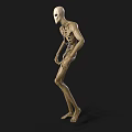 Game Movie Character 3D Model With Slender Body Transparent Skin Skeletal Structure And Visible Organs