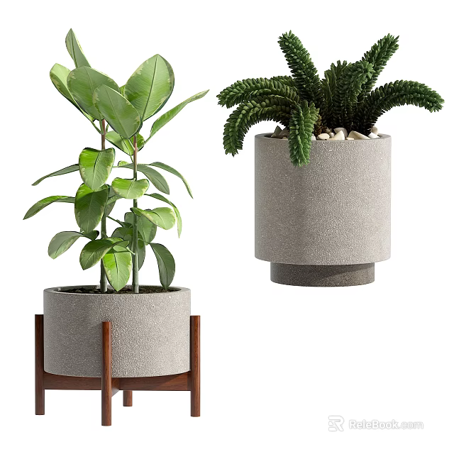 Broad Green Leafy and Feathery Potted Plants with Concrete Pots Wooden Stand and Pebbles 3d model 