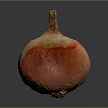 Fresh Red Onion With Red And White Skin On Gray Background Close Up View
