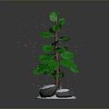 Small Decorative Pine Tree With Snow Covered Base And Falling Snowflakes