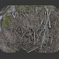Realistic Natural Scene Component With Twigs Soil And Green Moss