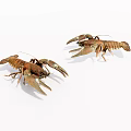 Two Raw Crayfish With Brown Shells And Claws On White Background 3d model
