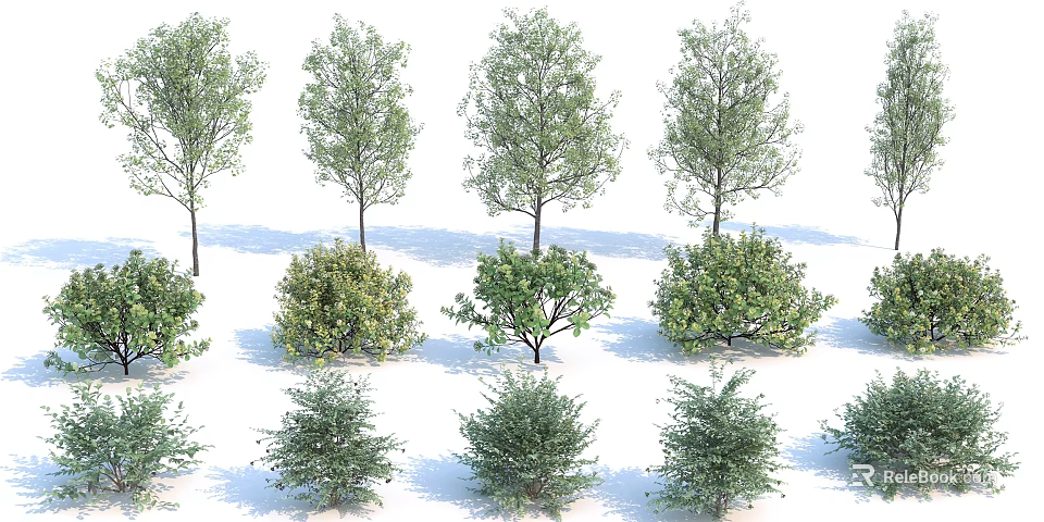 Different Types Of Landscape Trees Collection With Various Sizes And Foliage Shapes 3d model 